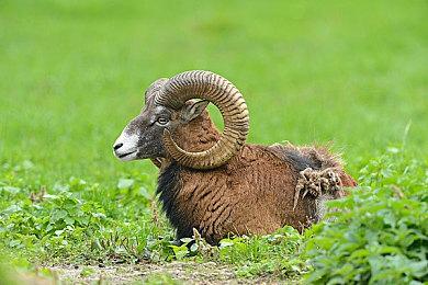 虚幻5《龙腾世纪：审判》演示 雨滴效果逼真